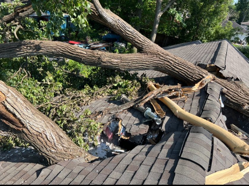 Craning a Huge fallen tree that has crushed a House #tree #treeremoval #treeservice #trees
