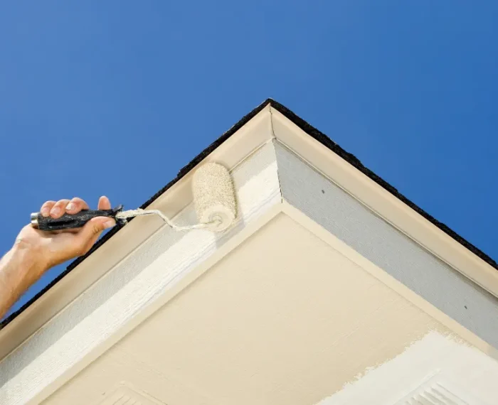Soffit & Fascia Maintenance Services